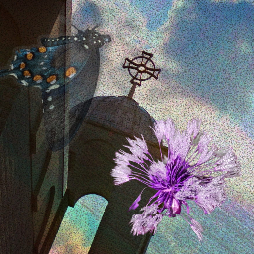 no_more_by broomwatr