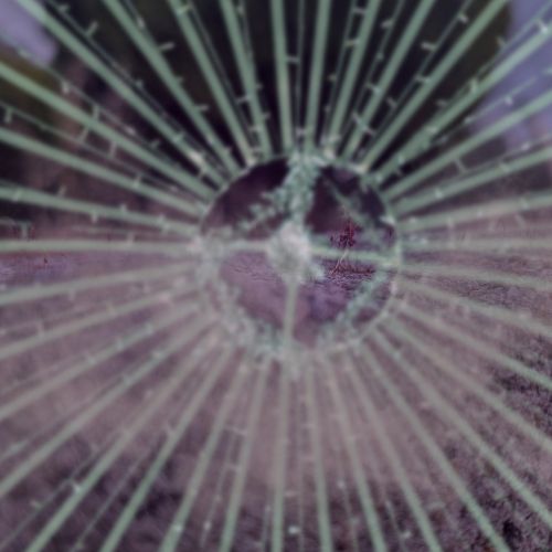 agonal (still) breathing