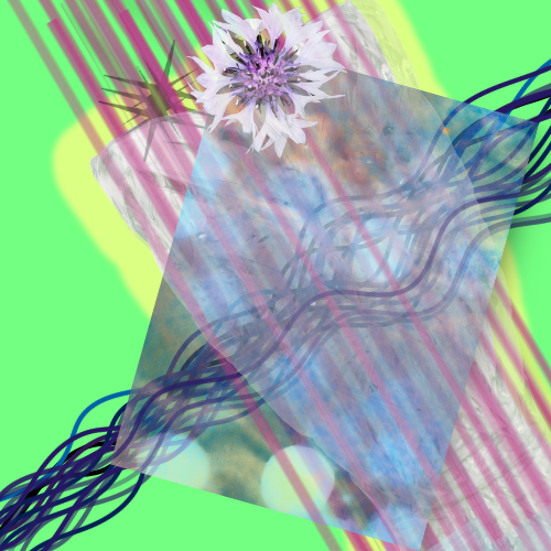 vessel